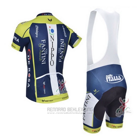 2013 Fahrradbekleidung Vini Fantini Grun und Blau Trikot Kurzarm und Tragerhose